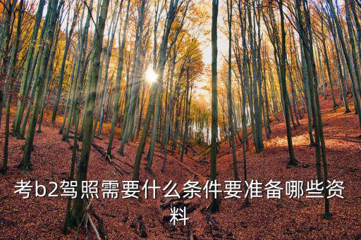 南京考b2駕照需要什么條件要多少錢,考b2駕照需要什么條件