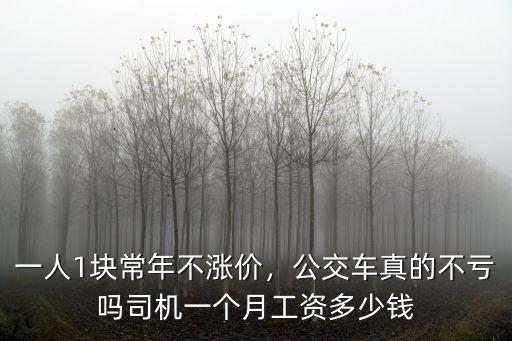一人1塊常年不漲價，公交車真的不虧嗎司機一個月工資多少錢