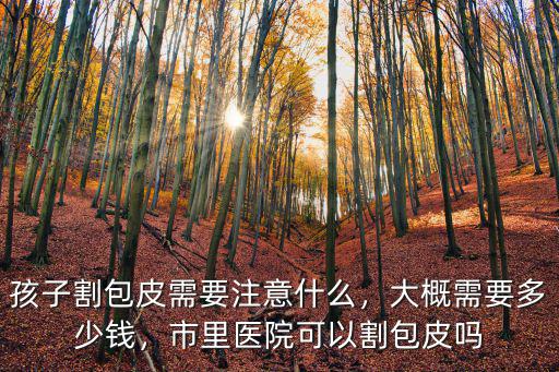 佛山割包皮需多少錢,大概需要多少錢