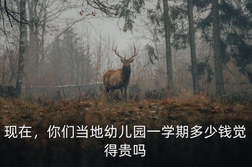 現在，你們當地幼兒園一學期多少錢覺得貴嗎