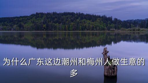 現(xiàn)在廣東有多少梅州人當(dāng)官,廣東梅州出了多少影視明星