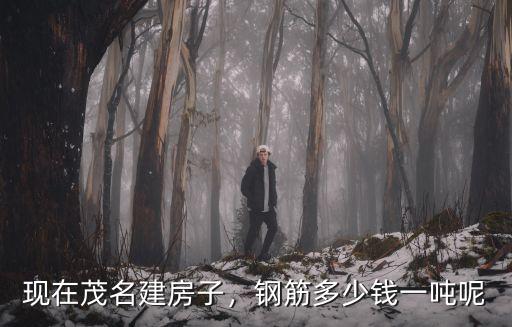 湛江市建房多少線一噸鋼材,現在鋼材價格多少錢一噸