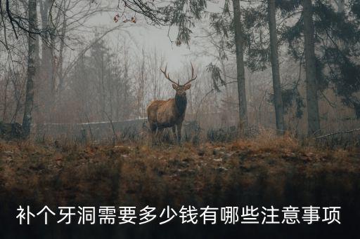 補個牙洞需要多少錢有哪些注意事項