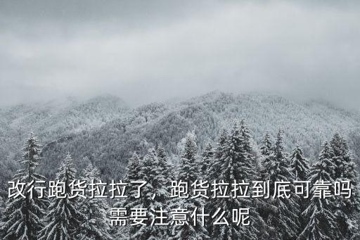 改行跑貨拉拉了，跑貨拉拉到底可靠嗎需要注意什么呢
