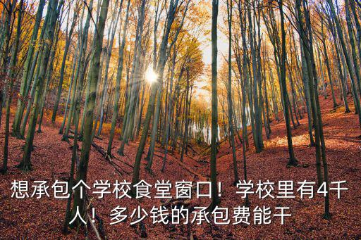想承包個(gè)學(xué)校食堂窗口！學(xué)校里有4千人！多少錢的承包費(fèi)能干