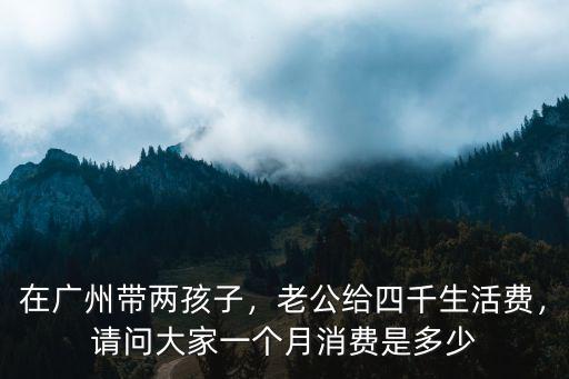 在廣州養(yǎng)個(gè)孩子一個(gè)月多少錢,在廣州帶兩孩子