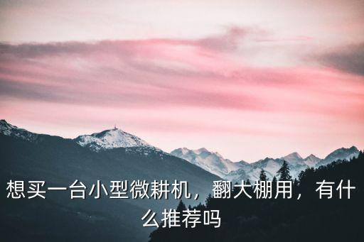 想買一臺小型微耕機，翻大棚用，有什么推薦嗎