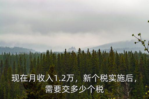 佛山1.2萬的工資交多少稅,現(xiàn)在月收入1.2萬
