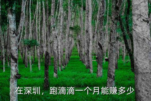在深圳，跑滴滴一個月能賺多少