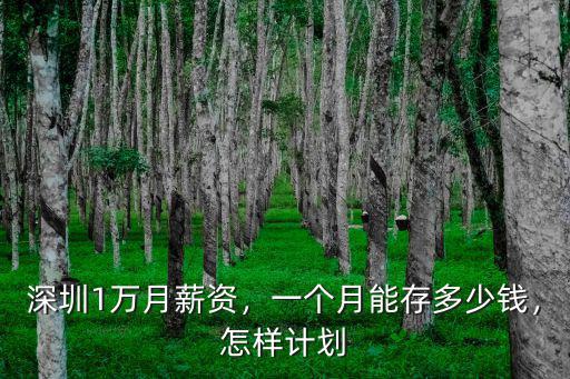 深圳1萬月薪資，一個月能存多少錢，怎樣計劃