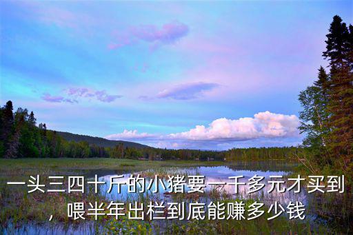 瘦肉型小豬在廣東能賣多少錢,現在小豬仔多少錢