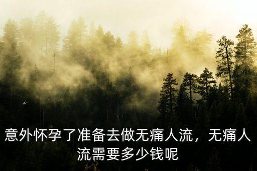 在潮州無痛人流要多少錢,無痛人流需要多少錢呢
