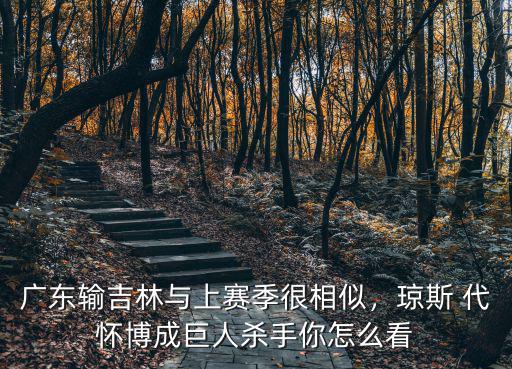 廣東與吉林半場比分多少,廣東輸吉林與上賽季很相似