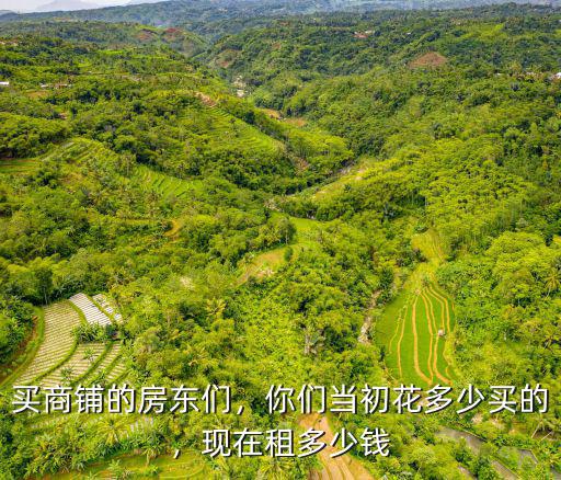 肇慶商鋪房租多少錢,現(xiàn)在租多少錢