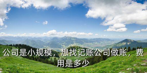 公司是小規模，想找記賬公司做賬，費用是多少