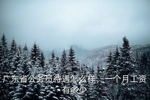 廣東省公務員待遇怎么樣，一個月工資有多少