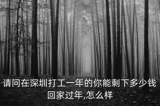請問在深圳打工一年的你能剩下多少錢回家過年,怎么樣