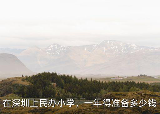 深圳市小學午餐一學期多少錢,一學期還需要繳納多少錢