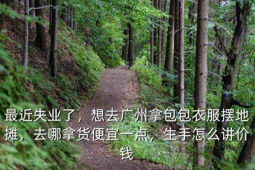 最近失業了，想去廣州拿包包衣服擺地攤，去哪拿貨便宜一點，生手怎么講價錢