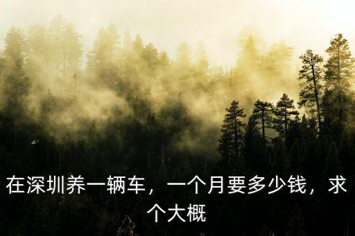 在深圳養(yǎng)一輛車，一個月要多少錢，求個大概