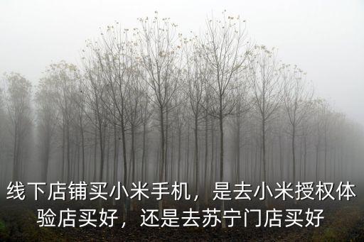 深圳小米門店體驗(yàn)師怎么樣,利潤(rùn)空間怎么樣
