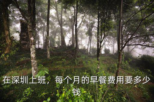 在深圳上班，每個月的早餐費用要多少錢