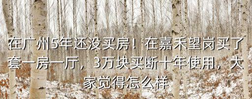 在廣州5年還沒買房！在嘉禾望崗買了套一房一廳，3萬塊買斷十年使用，大家覺得怎么樣
