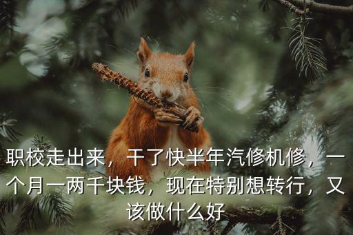 職校走出來(lái)，干了快半年汽修機(jī)修，一個(gè)月一兩千塊錢(qián)，現(xiàn)在特別想轉(zhuǎn)行，又該做什么好