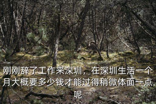 剛剛辭了工作來深圳，在深圳生活一個月大概要多少錢才能過得稍微體面一點呢