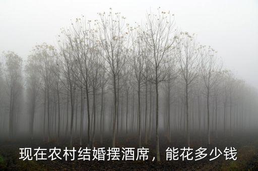 現在農村結婚擺酒席，能花多少錢