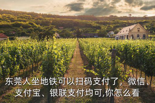東莞巴士怎么用微信支付,在東莞買地鐵票可用微信