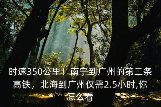 南寧廣州高鐵要多少小時到達,南寧到廣州的第二條高鐵