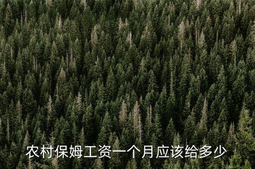 農村保姆工資一個月應該給多少