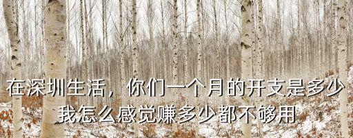 在深圳生活，你們一個月的開支是多少我怎么感覺賺多少都不夠用