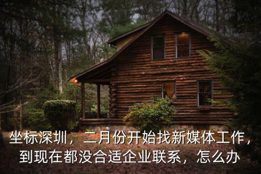深圳有多少家新媒體公司,想在深圳做新媒體創業