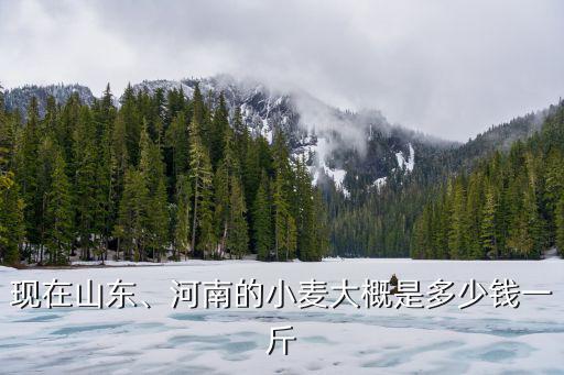 現在山東、河南的小麥大概是多少錢一斤