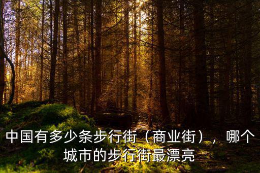 中國有多少條步行街（商業街），哪個城市的步行街最漂亮