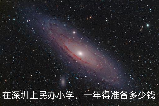 深圳上小學龍崗要多少分,在深圳上民辦小學