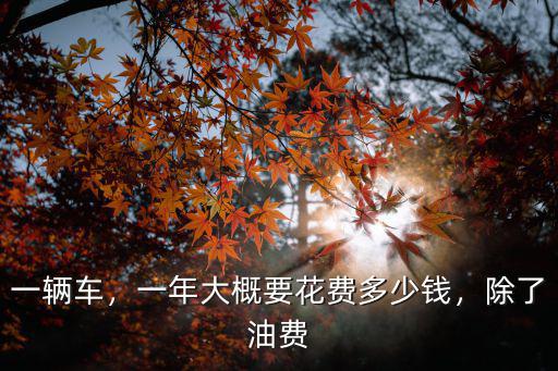 珠海加油費多少錢,珠海物價貴嗎
