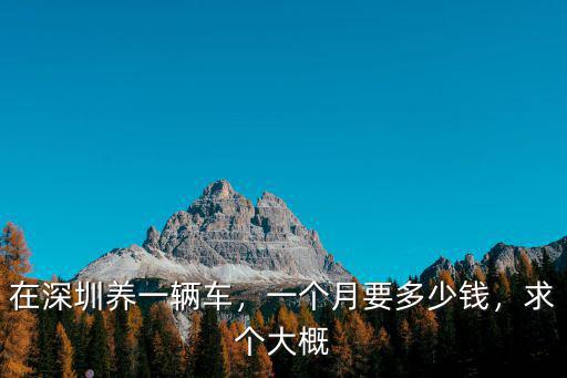 在深圳養(yǎng)一輛車，一個月要多少錢，求個大概