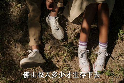 在佛山月入多少才算過得去,佛山收入多少才生存下去