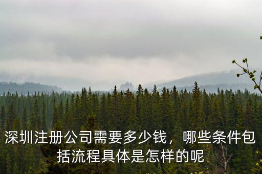 深圳注冊(cè)公司需要多少錢，哪些條件包括流程具體是怎樣的呢