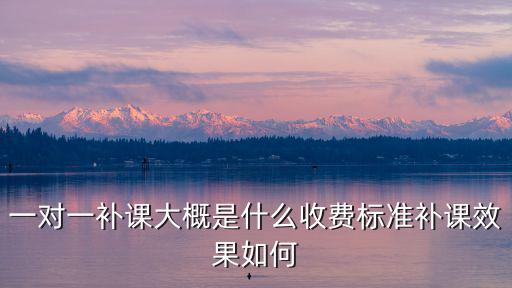 一對一補(bǔ)課大概是什么收費(fèi)標(biāo)準(zhǔn)補(bǔ)課效果如何