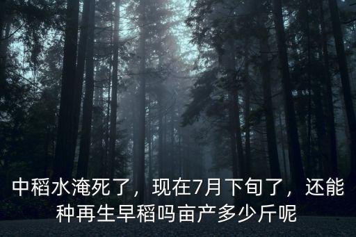 中稻水淹死了，現(xiàn)在7月下旬了，還能種再生早稻嗎畝產(chǎn)多少斤呢