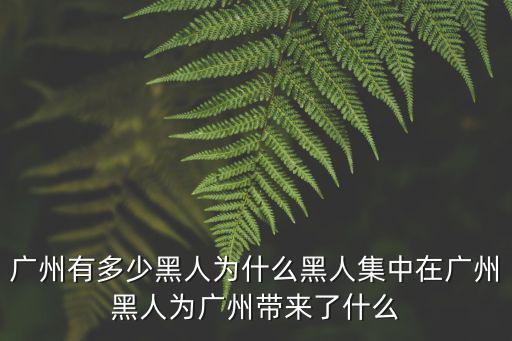 貝姓在廣州市有多少人,廣州有多少黑人
