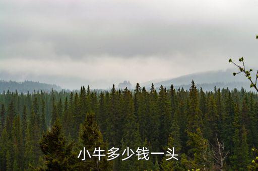 小牛多少錢一頭