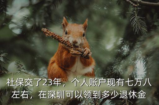 社保交了23年，個人賬戶現有七萬八左右，在深圳可以領到多少退休金