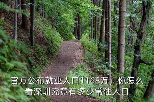 官方公布就業人口1168萬，你怎么看深圳究竟有多少常住人口
