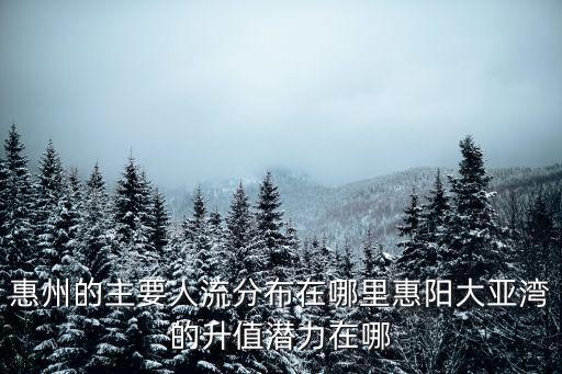 惠州的主要人流分布在哪里惠陽大亞灣的升值潛力在哪
