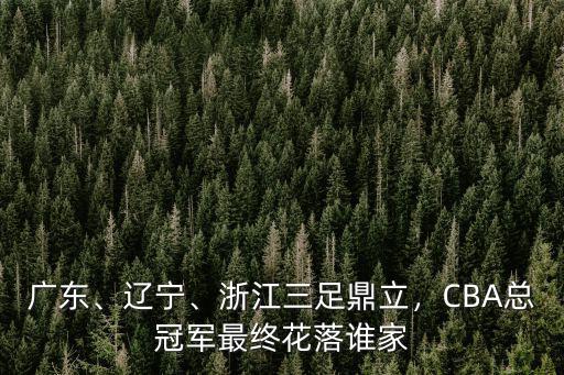 廣東、遼寧、浙江三足鼎立，CBA總冠軍最終花落誰家